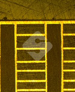 ����ϣ����williamhill(�й�)���Ĺ���