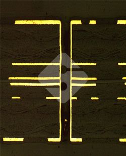 ����ϣ����williamhill(�й�)���Ĺ���