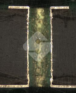 ����ϣ����williamhill(�й�)���Ĺ���