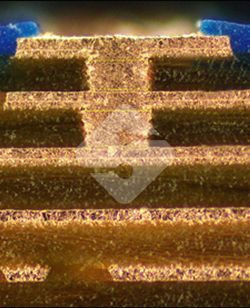 威廉希尔·williamhill(中国)中文官网