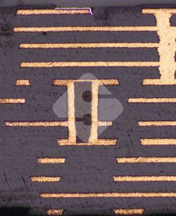 威廉希尔·williamhill(中国)中文官网