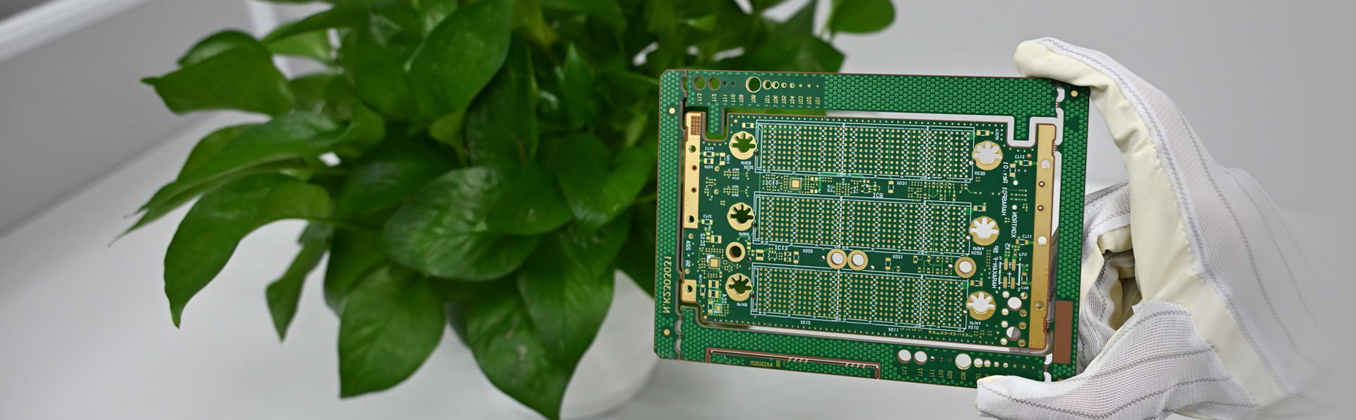 威廉希尔·williamhill(中国)中文官网